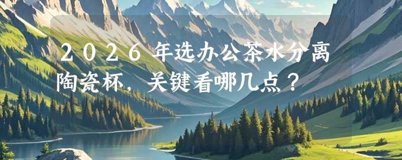 2026年选办公茶水分离陶瓷杯，关键看哪几点？