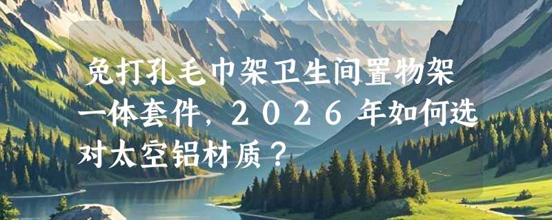 免打孔毛巾架卫生间置物架一体套件，2026年如何选对太空铝材质？