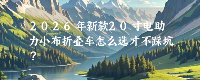 2026年新款20寸电助力小布折叠车怎么选才不踩坑？