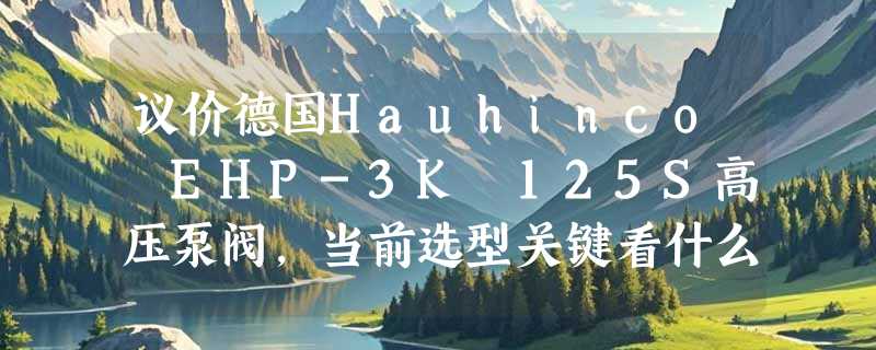 议价德国Hauhinco EHP-3K 125S高压泵阀，当前选型关键看什么？