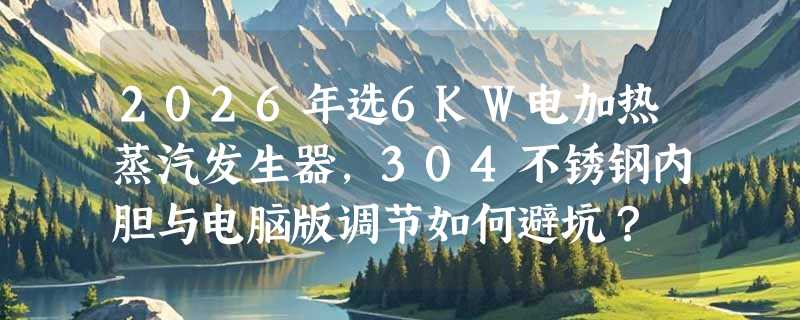 2026年选6KW电加热蒸汽发生器，304不锈钢内胆与电脑版调节如何避坑？