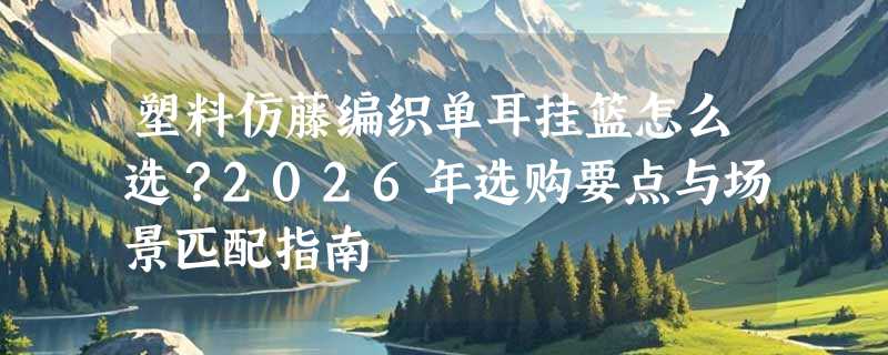 塑料仿藤编织单耳挂篮怎么选？2026年选购要点与场景匹配指南