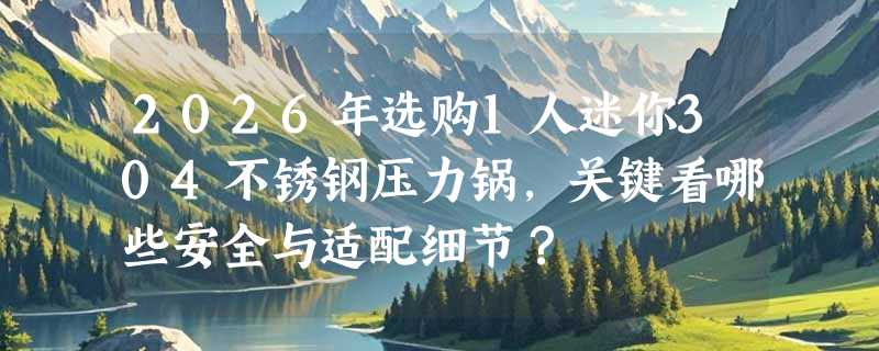 2026年选购1人迷你304不锈钢压力锅，关键看哪些安全与适配细节？