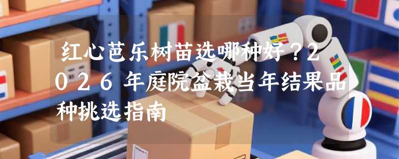 红心芭乐树苗选哪种好？2026年庭院盆栽当年结果品种挑选指南
