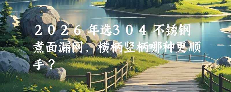 2026年选304不锈钢煮面漏网，横柄竖柄哪种更顺手？