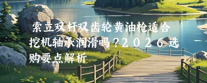 索立双杆双齿轮黄油枪适合挖机轴承润滑吗？2026选购要点解析