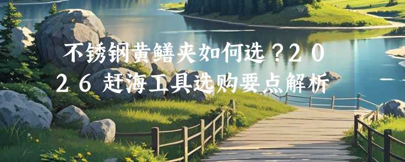 不锈钢黄鳝夹如何选？2026赶海工具选购要点解析