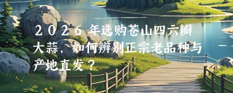 2026年选购苍山四六瓣大蒜，如何辨别正宗老品种与产地直发？