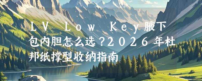 LV Low Key腋下包内胆怎么选？2026年杜邦纸撑型收纳指南