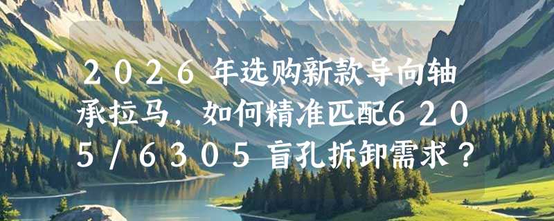 2026年选购新款导向轴承拉马，如何精准匹配6205/6305盲孔拆卸需求？