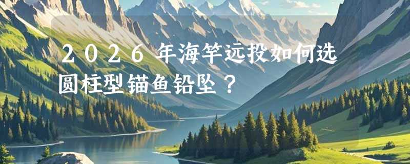 2026年海竿远投如何选圆柱型锚鱼铅坠？