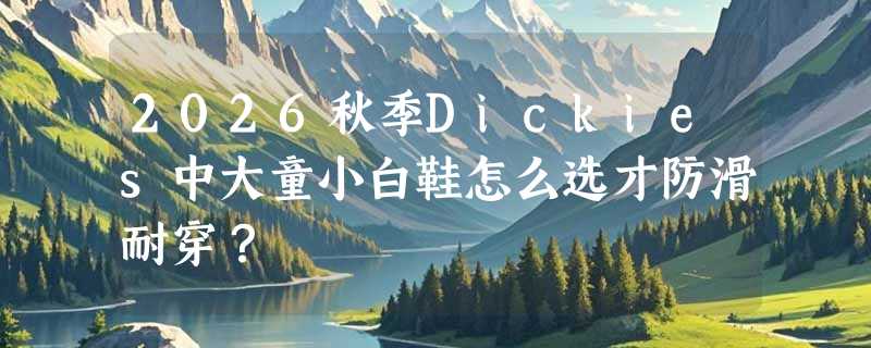 2026秋季Dickies中大童小白鞋怎么选才防滑耐穿？