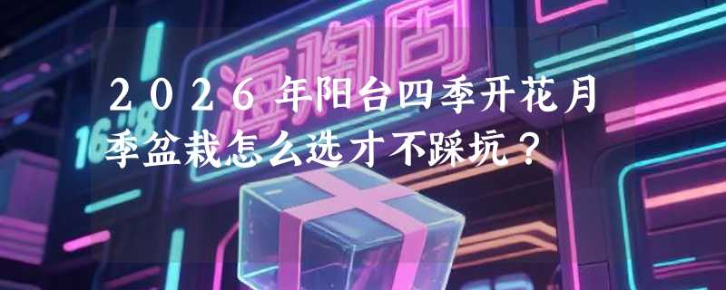 2026年阳台四季开花月季盆栽怎么选才不踩坑？