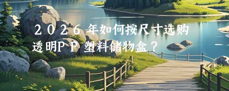 2026年如何按尺寸选购透明PP塑料储物盒？