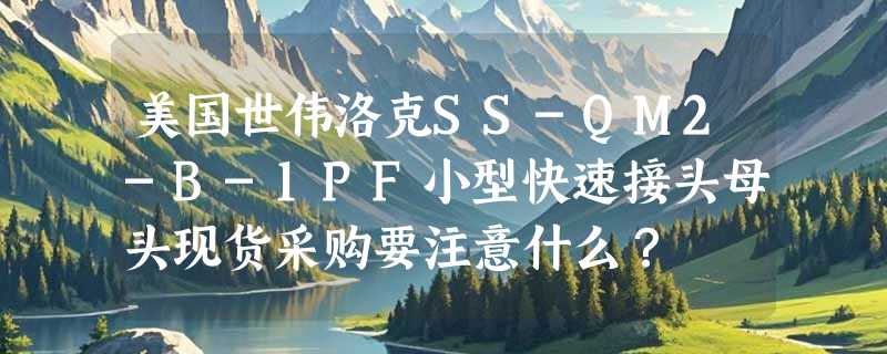美国世伟洛克SS-QM2-B-1PF小型快速接头母头现货采购要注意什么？