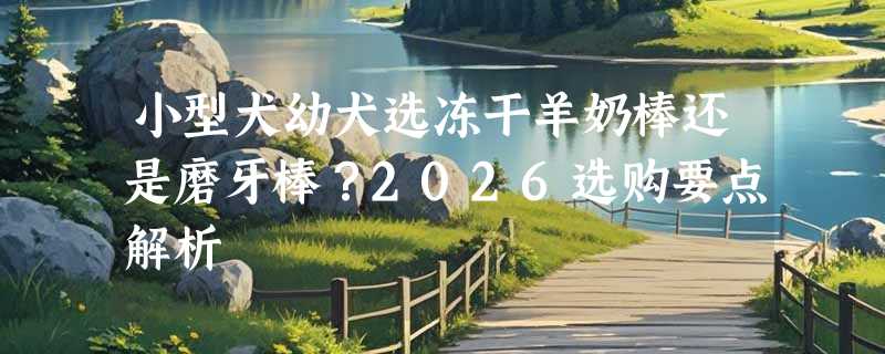 小型犬幼犬选冻干羊奶棒还是磨牙棒？2026选购要点解析