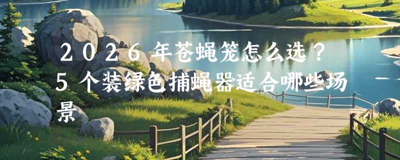2026年苍蝇笼怎么选？5个装绿色捕蝇器适合哪些场景