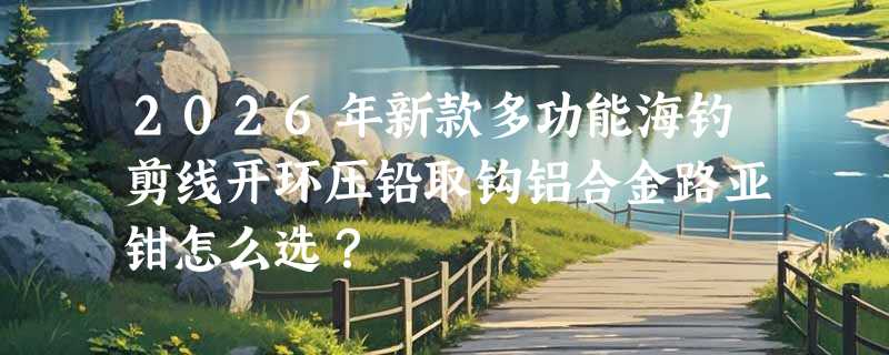 2026年新款多功能海钓剪线开环压铅取钩铝合金路亚钳怎么选？