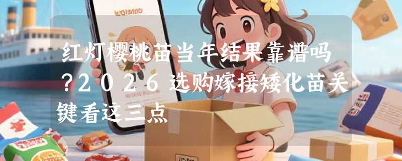 红灯樱桃苗当年结果靠谱吗？2026选购嫁接矮化苗关键看这三点