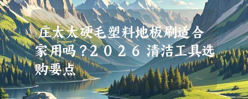 庄太太硬毛塑料地板刷适合家用吗？2026清洁工具选购要点