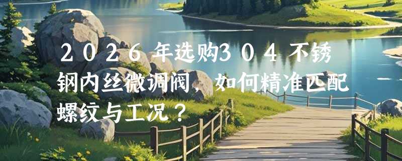 2026年选购304不锈钢内丝微调阀，如何精准匹配螺纹与工况？