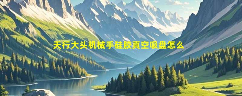 天行大头机械手硅胶真空吸盘怎么选？2026年选型与金具支架匹配指南