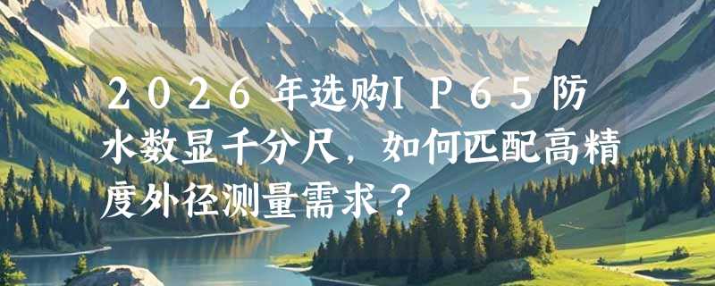 2026年选购IP65防水数显千分尺，如何匹配高精度外径测量需求？