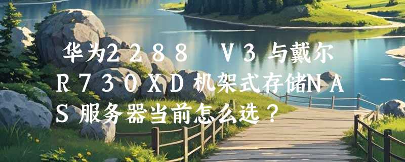 华为2288 V3与戴尔R730XD机架式存储NAS服务器当前怎么选？