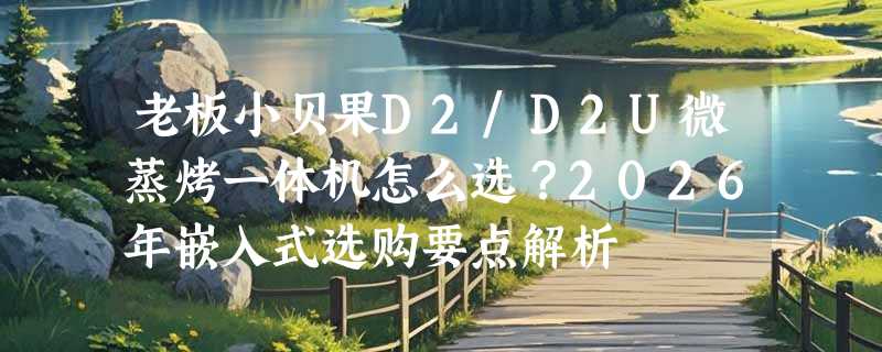 老板小贝果D2/D2U微蒸烤一体机怎么选？2026年嵌入式选购要点解析