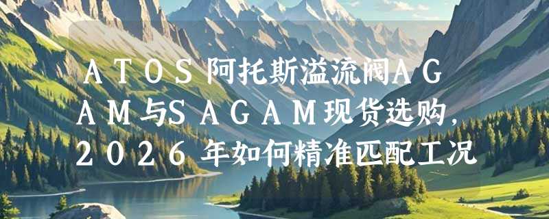 ATOS阿托斯溢流阀AGAM与SAGAM现货选购，2026年如何精准匹配工况？