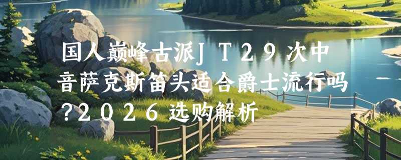 国人巅峰古派JT29次中音萨克斯笛头适合爵士流行吗？2026选购解析