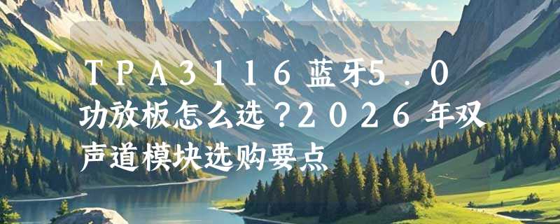TPA3116蓝牙5.0功放板怎么选？2026年双声道模块选购要点