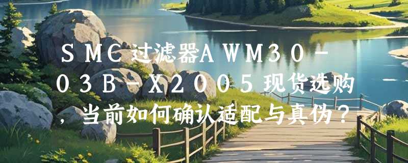 SMC过滤器AWM30-03B-X2005现货选购，当前如何确认适配与真伪？