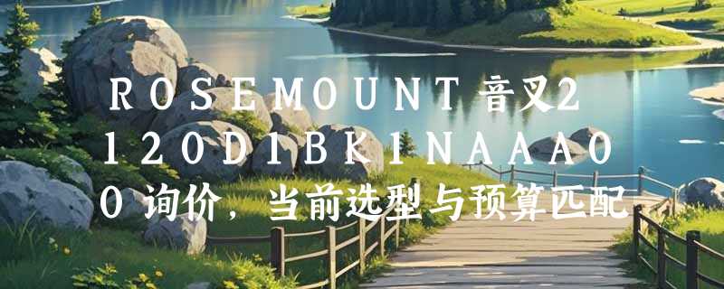 ROSEMOUNT音叉2120D1BK1NAAA00询价，当前选型与预算匹配关键在哪