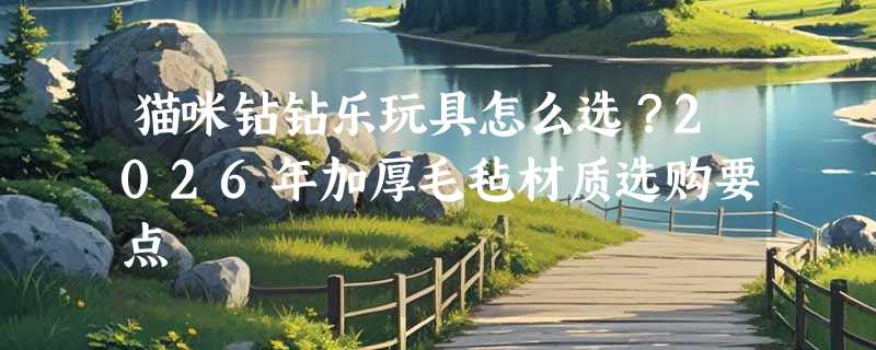 猫咪钻钻乐玩具怎么选？2026年加厚毛毡材质选购要点