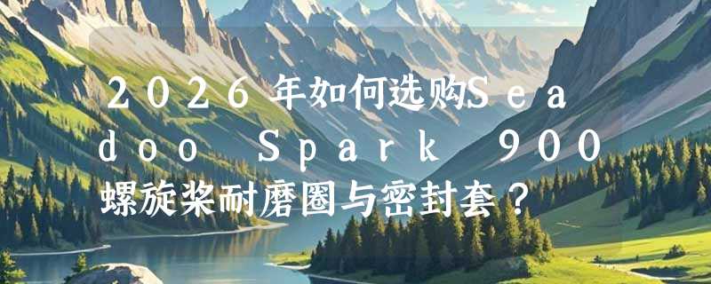 2026年如何选购Seadoo Spark 900螺旋桨耐磨圈与密封套？