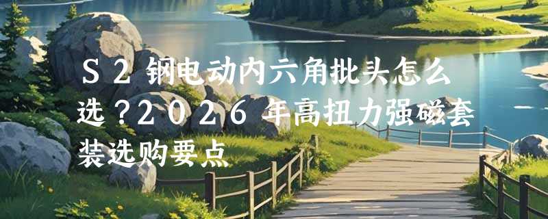 S2钢电动内六角批头怎么选？2026年高扭力强磁套装选购要点