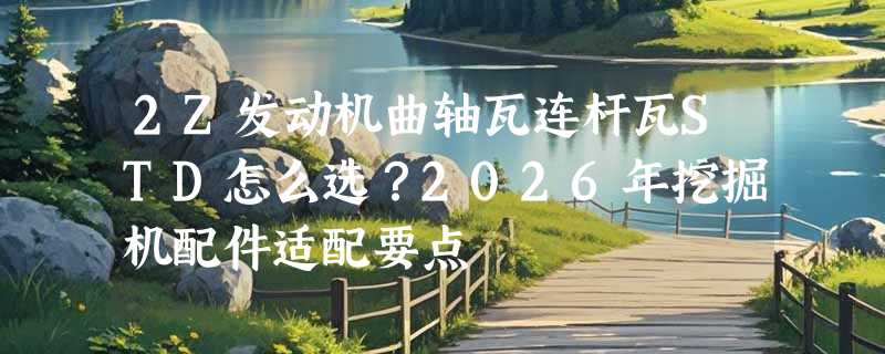 2Z发动机曲轴瓦连杆瓦STD怎么选？2026年挖掘机配件适配要点