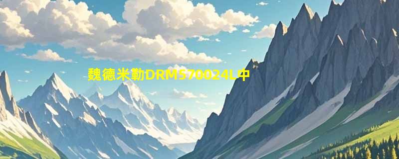 魏德米勒DRM570024L中间继电器选型要点有哪些？