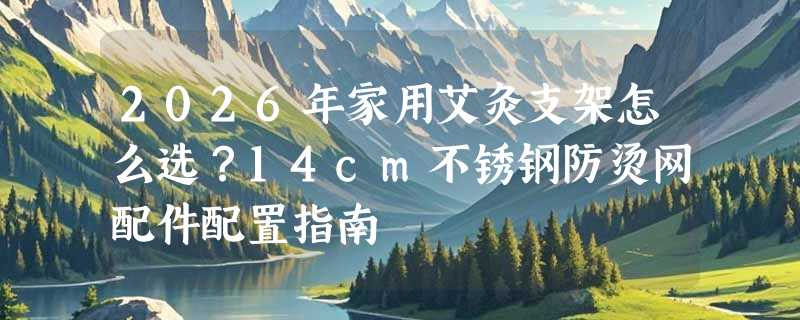 2026年家用艾灸支架怎么选？14cm不锈钢防烫网配件配置指南