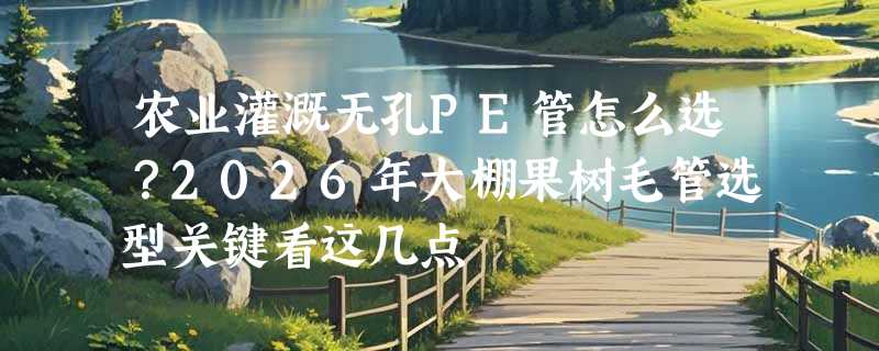 农业灌溉无孔PE管怎么选？2026年大棚果树毛管选型关键看这几点