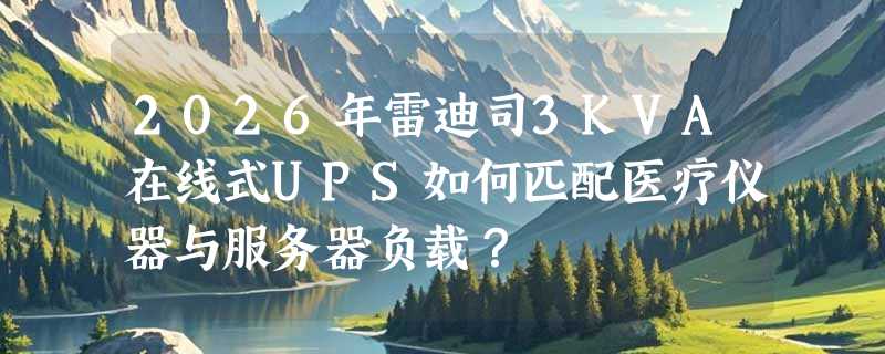 2026年雷迪司3KVA在线式UPS如何匹配医疗仪器与服务器负载？