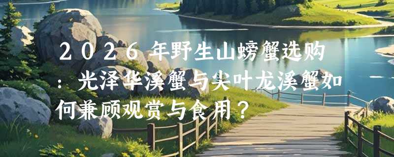2026年野生山螃蟹选购：光泽华溪蟹与尖叶龙溪蟹如何兼顾观赏与食用？