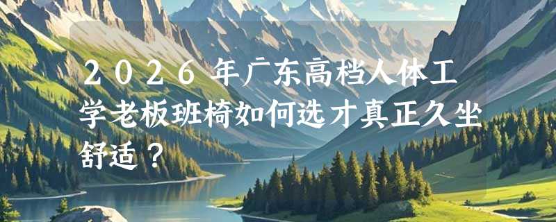 2026年广东高档人体工学老板班椅如何选才真正久坐舒适？