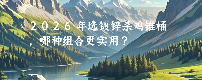 2026年选镀锌杀鸡锥桶，哪种组合更实用？