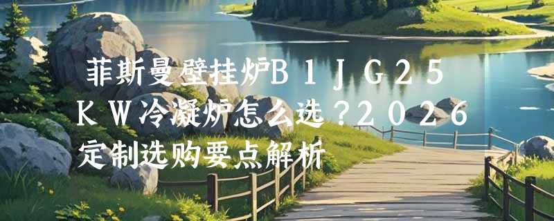 菲斯曼壁挂炉B1JG25KW冷凝炉怎么选？2026定制选购要点解析