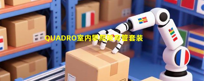 QUADRO室内攀爬架弯管套装值得入手吗？2026选购要点解析