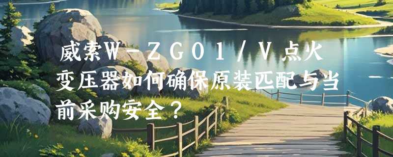 威索W-ZG01/V点火变压器如何确保原装匹配与当前采购安全？