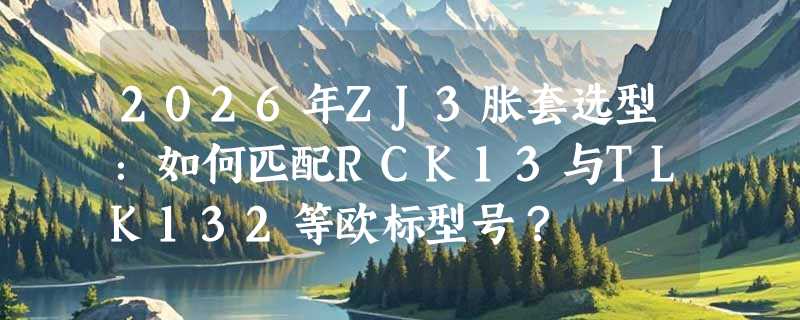 2026年ZJ3胀套选型：如何匹配RCK13与TLK132等欧标型号？