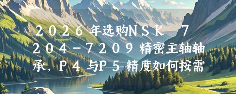 2026年选购NSK 7204-7209精密主轴轴承，P4与P5精度如何按需匹配？